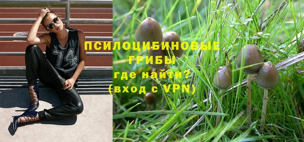 хмурый Гусиноозёрск