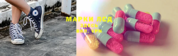 Альфа ПВП Гусев