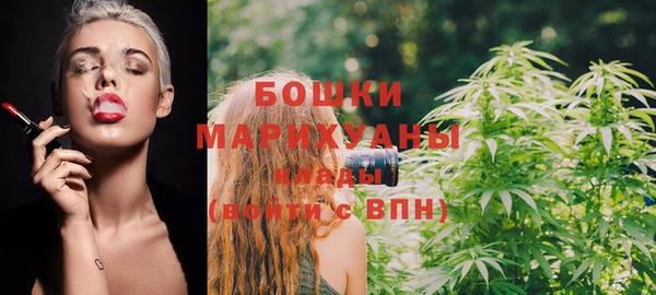Альфа ПВП Гусев