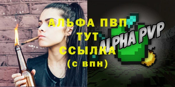 Альфа ПВП Гусев
