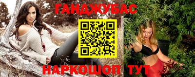 индика Отрадное