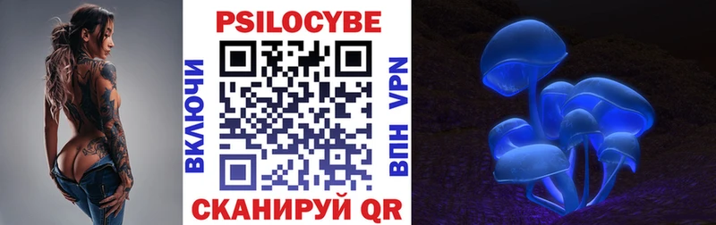 Псилоцибиновые грибы Cubensis Батайск