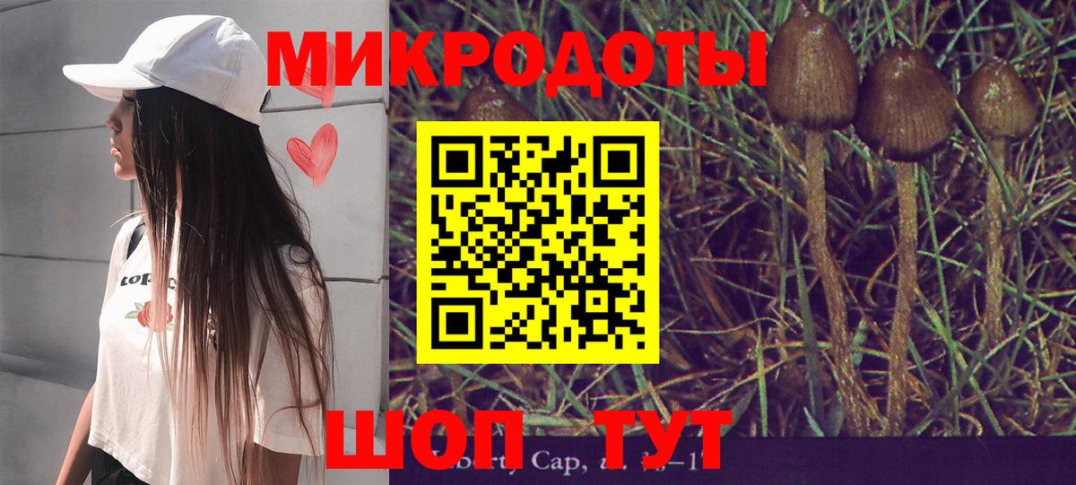 Галлюциногенные грибы Psilocybine cubensis  Вход с VPN  купить наркоту  Батайск 